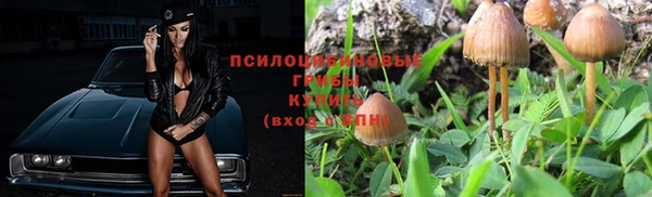 хмурый Алзамай