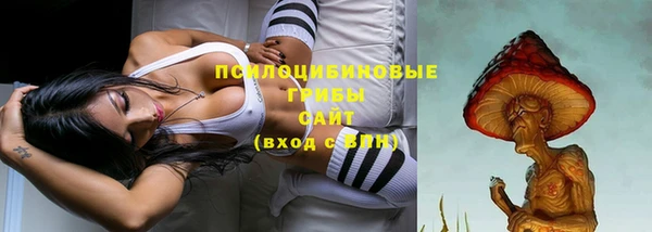хмурый Алзамай