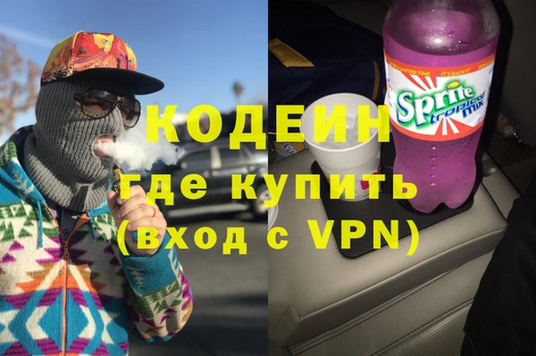 хмурый Алзамай