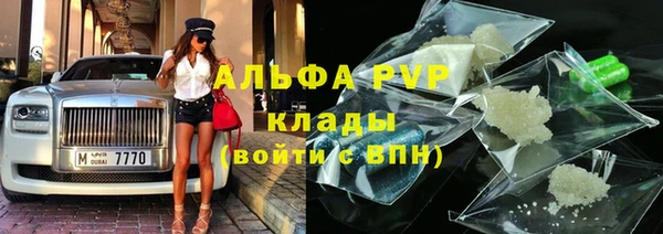 хмурый Алзамай
