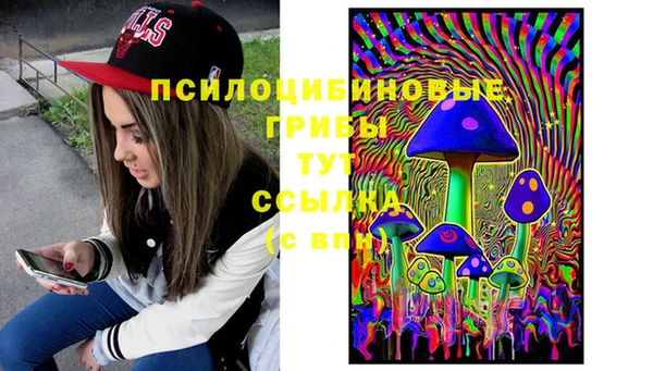 мет Алексин